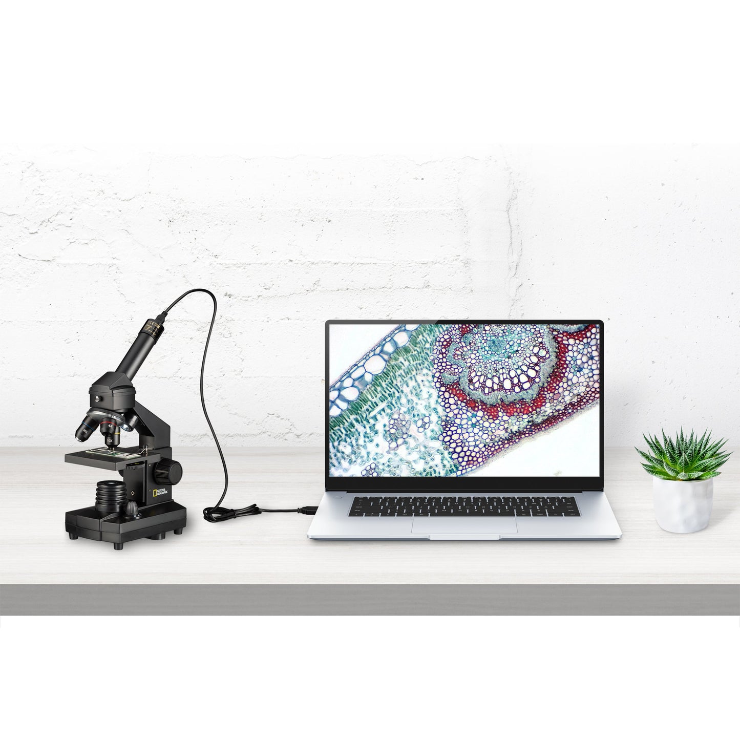 Kit microscope 40x-1024x USB (étui inclus)