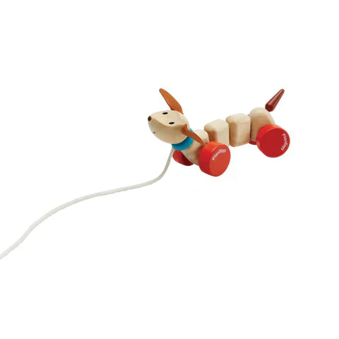 Chiot Heureux