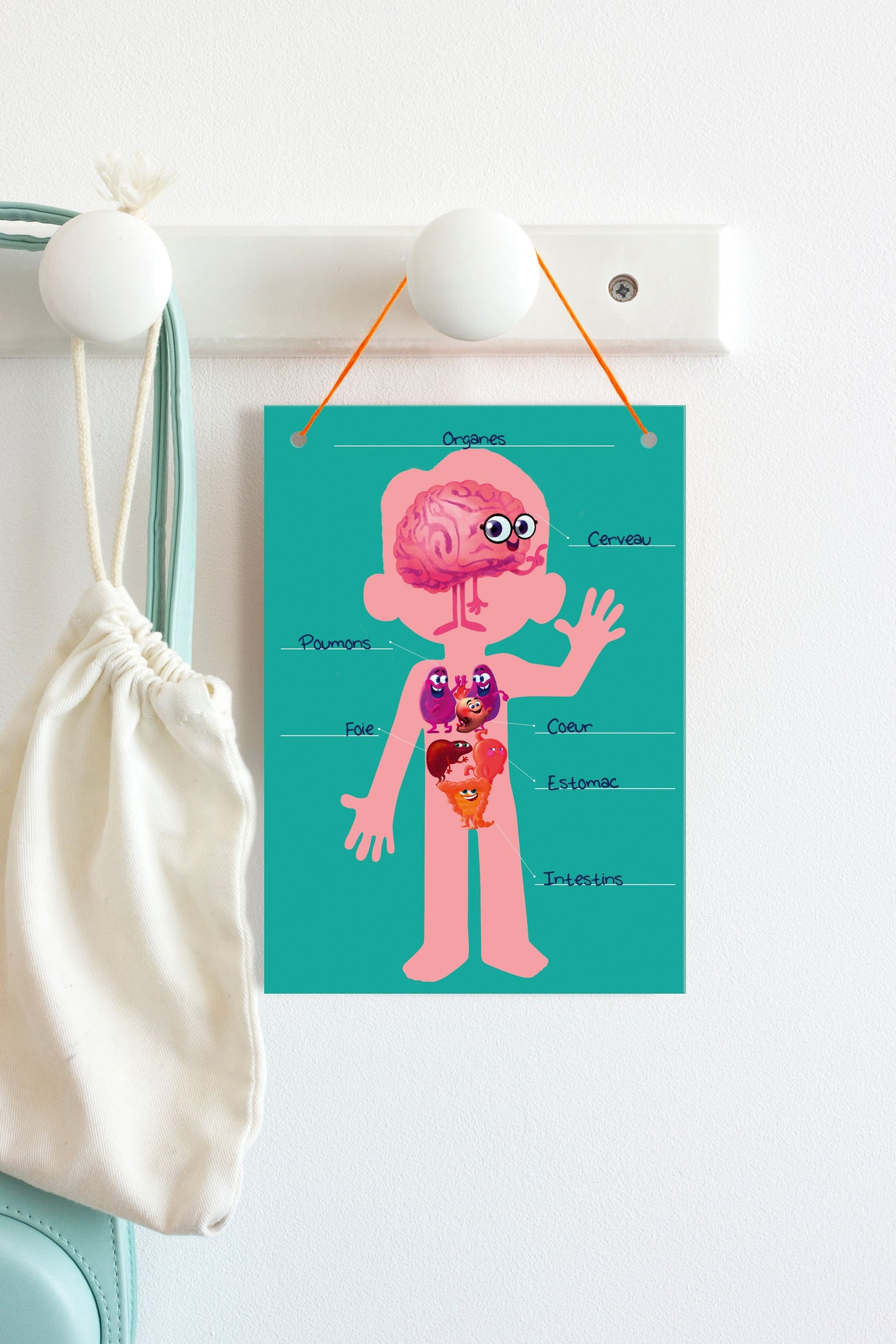 Boîte créative, Decalco Mania, Corps humain