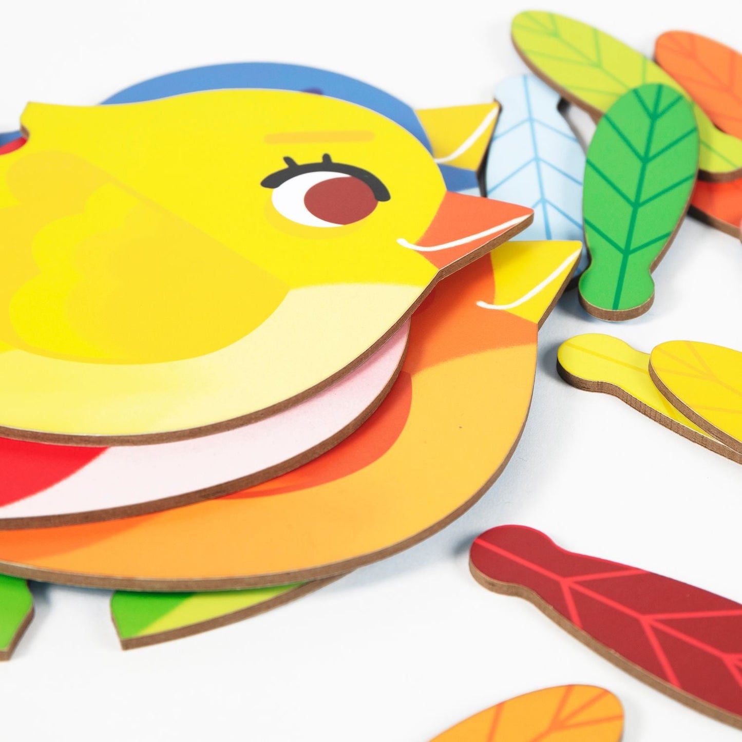 Educativ' Puzzle, Dégradés de couleurs