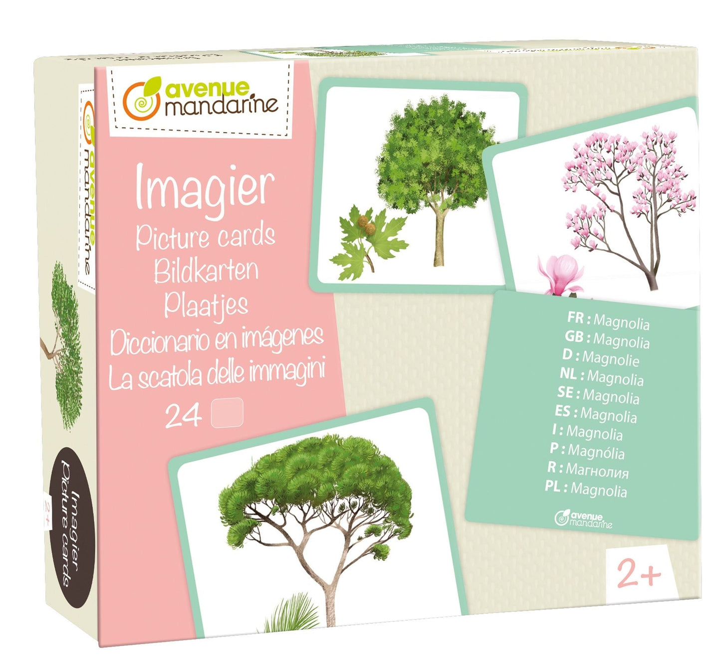 Imagier, Arbres