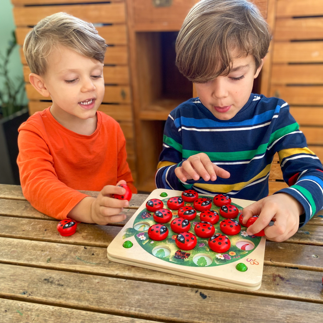 Jeu de mémoire avec coccinelles en bois et 14 modèles de jeu