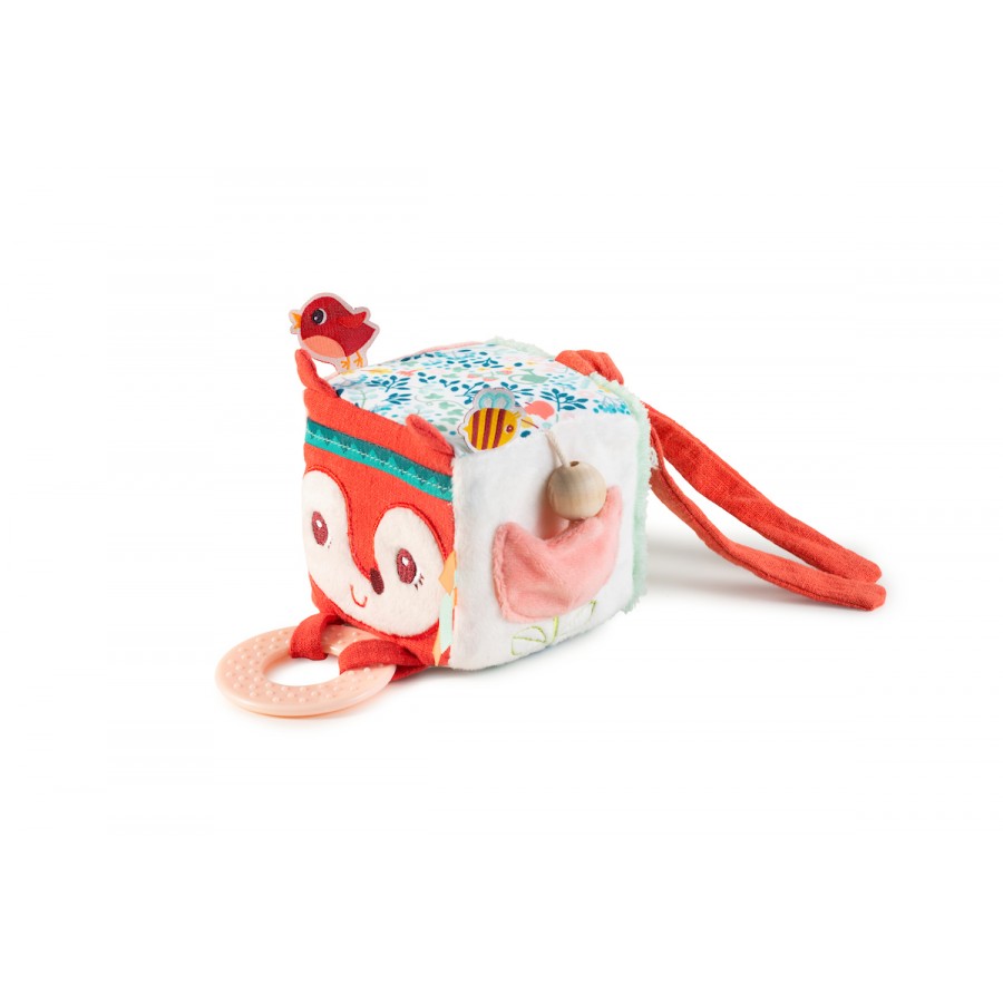 Alice cube d'activites