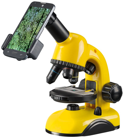 Microscope 40x-800x