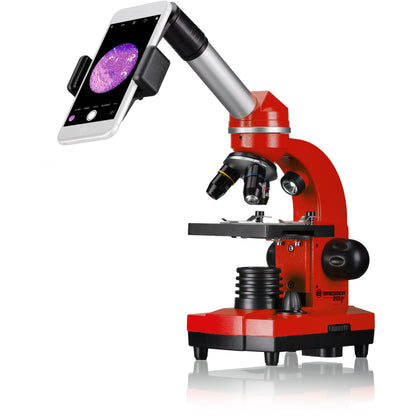Microscope étudiant Biolux SEL - vert
