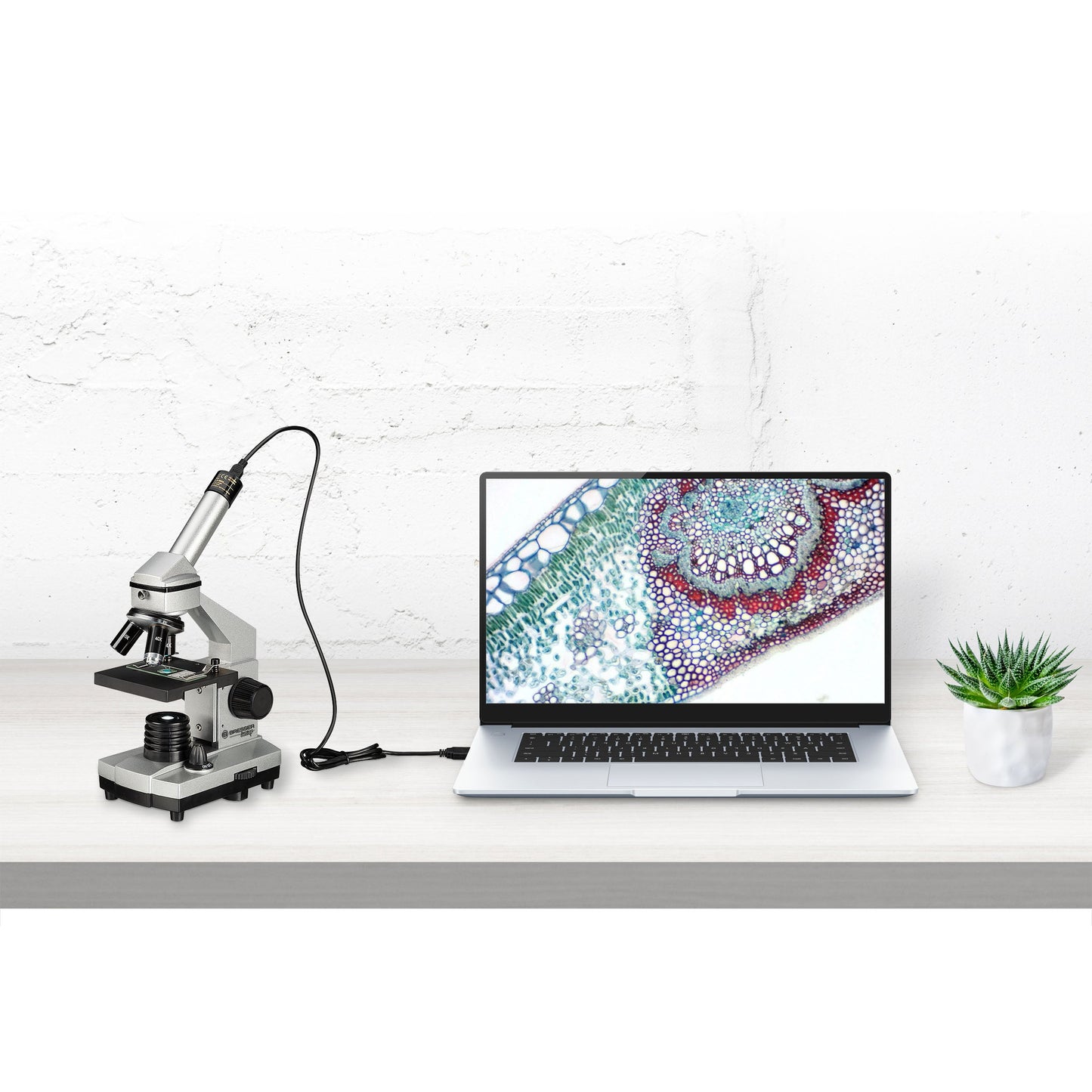 Microscope USB 40x-1024x