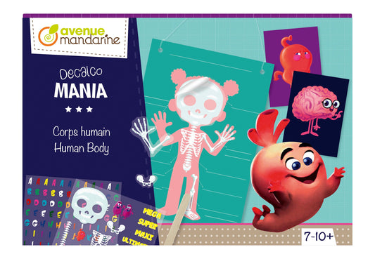 Boîte créative, Decalco Mania, Corps humain