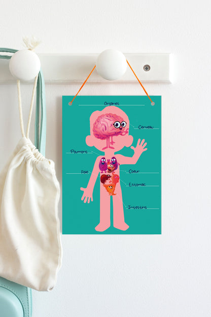 Boîte créative, Decalco Mania, Corps humain