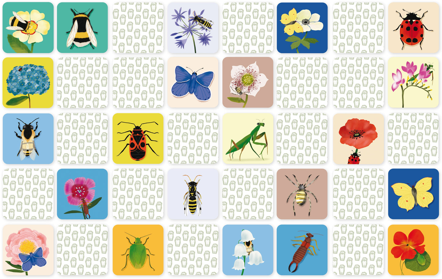 Mon mémo insecte