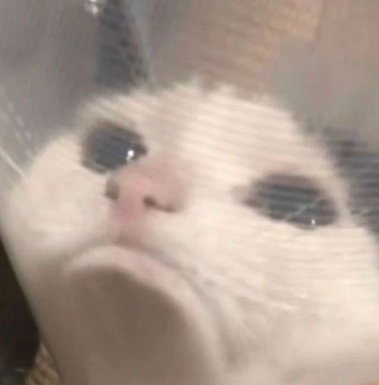 Chat Tuto 3