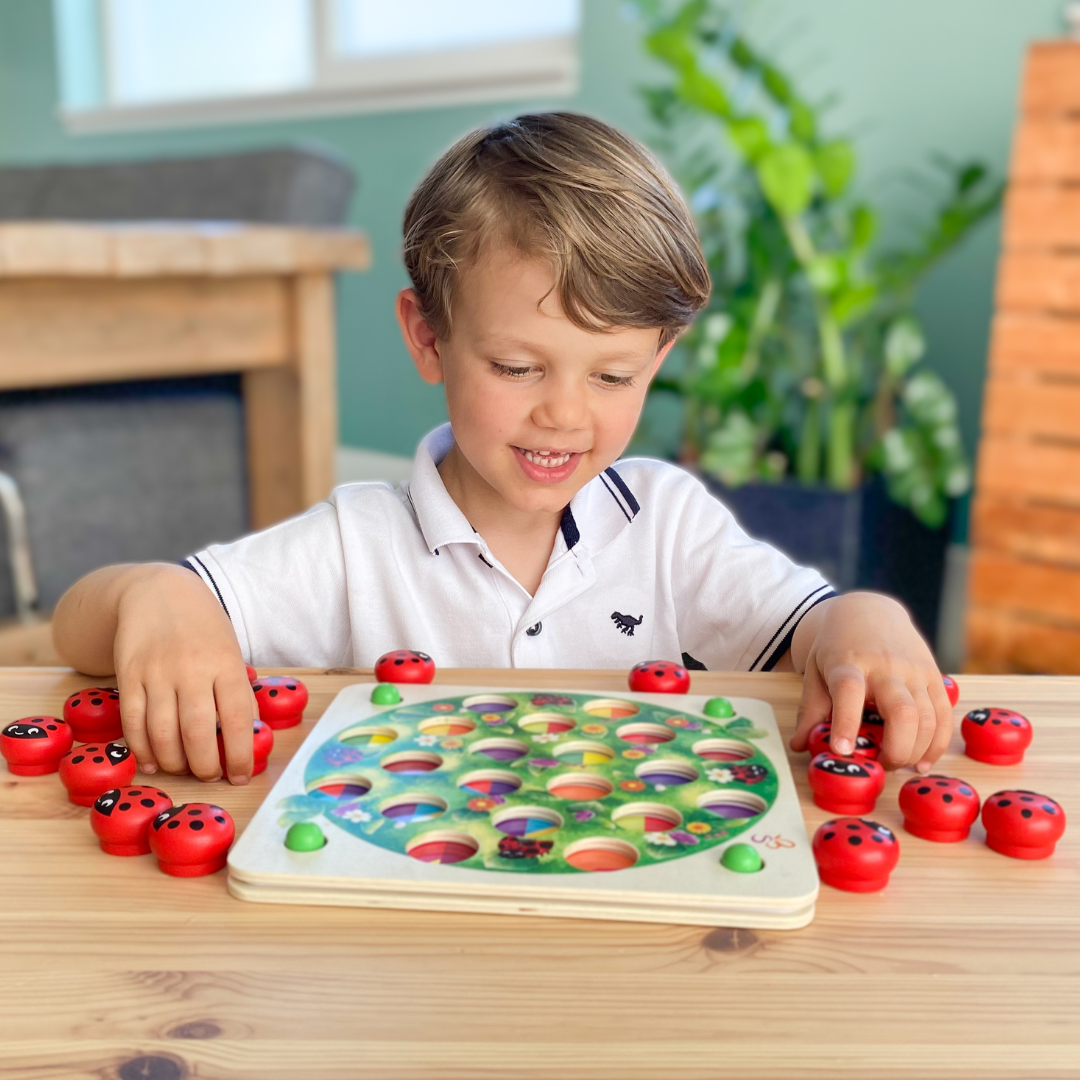 Jeu de mémoire avec coccinelles en bois et 14 modèles de jeu