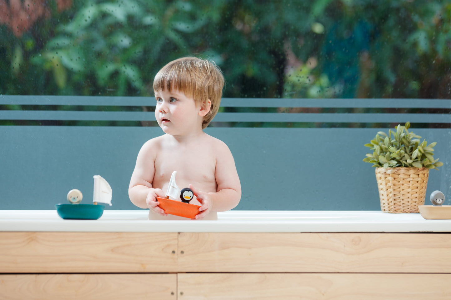 Voiliers - Ours polaire