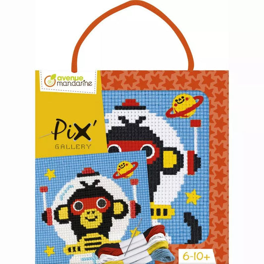 Pix Gallery, Cosmonaute