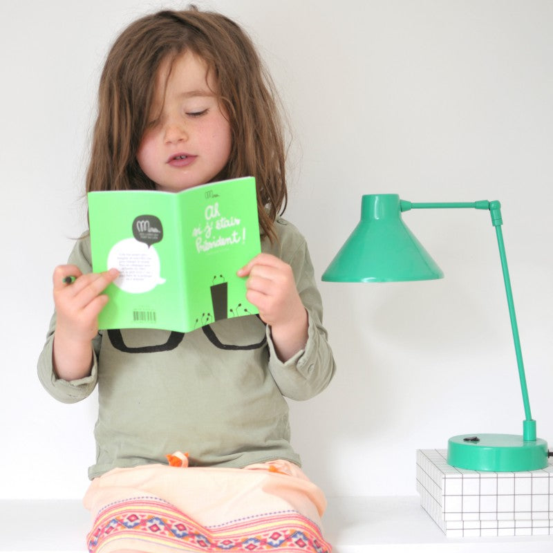 Ah, si j’étais président - cahier d'activités