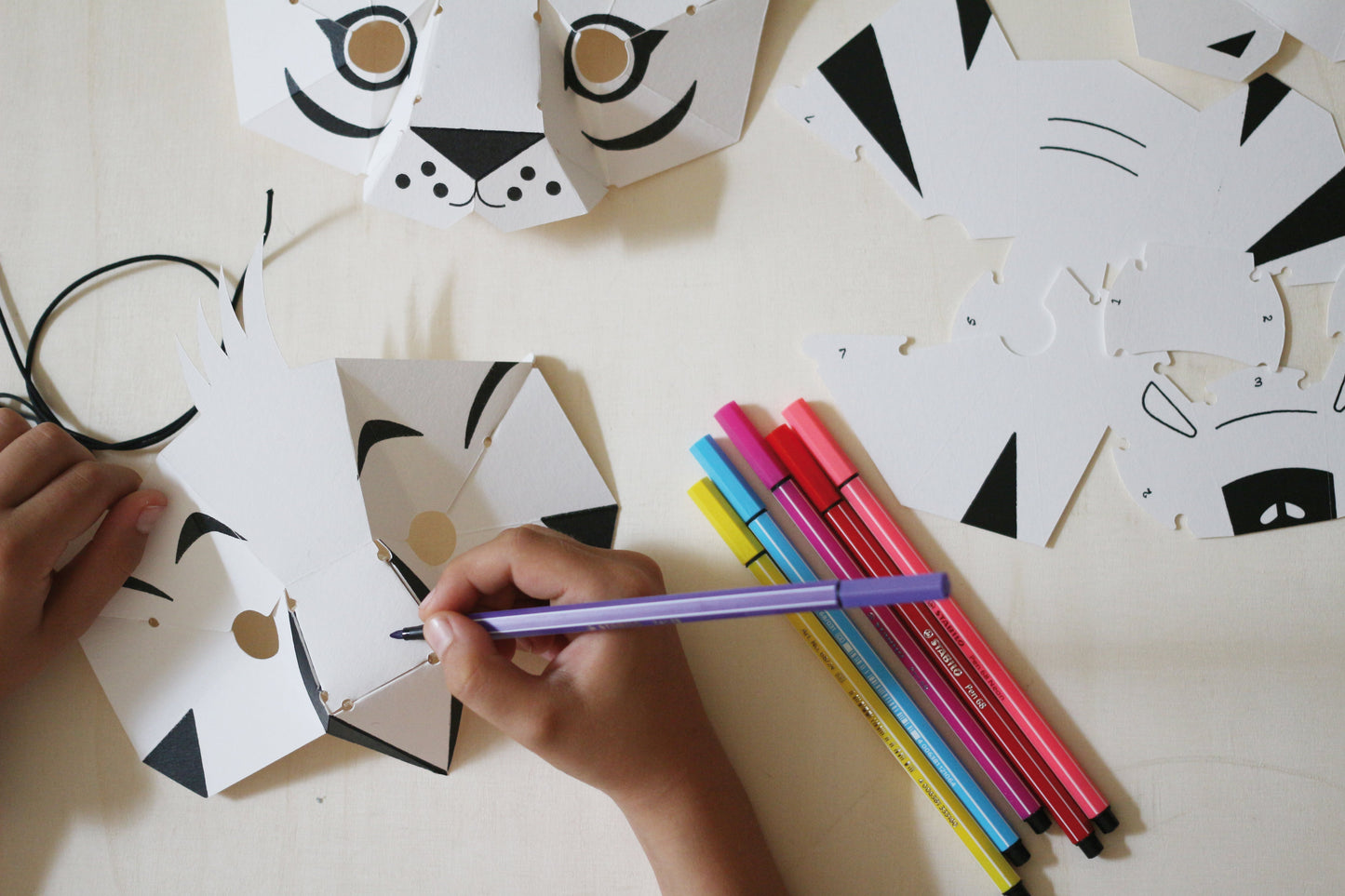 mes MASQUES de la Jungle