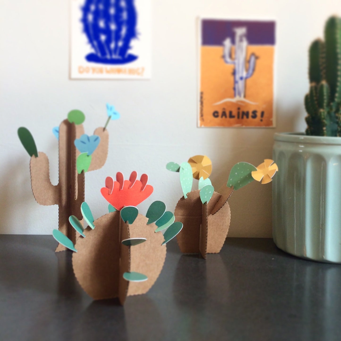 mes CACTUS colorés