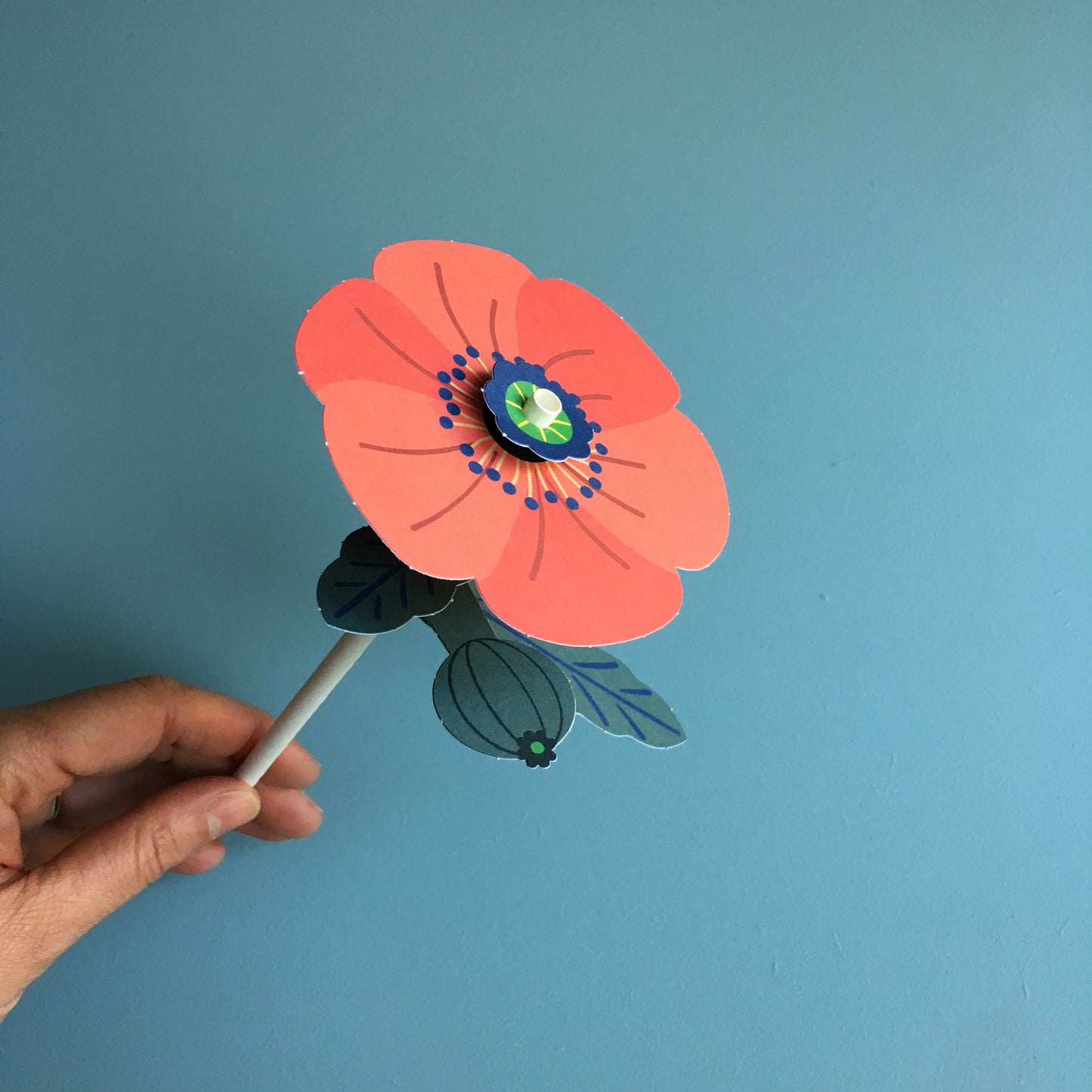 mes Fleurs des champs