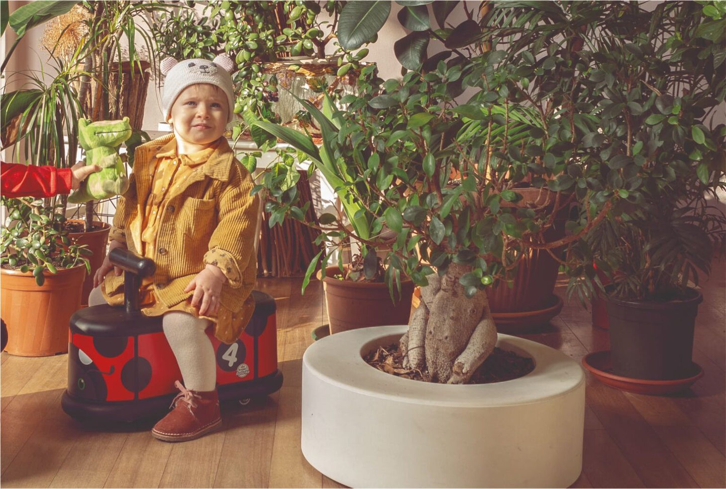 Manège Lady Bug