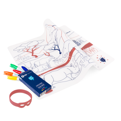 set à colorier - La savanne